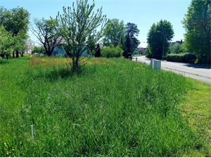 terrain à la vente -   67170  BERNOLSHEIM, surface 300 m2 vente terrain - UBI476242766